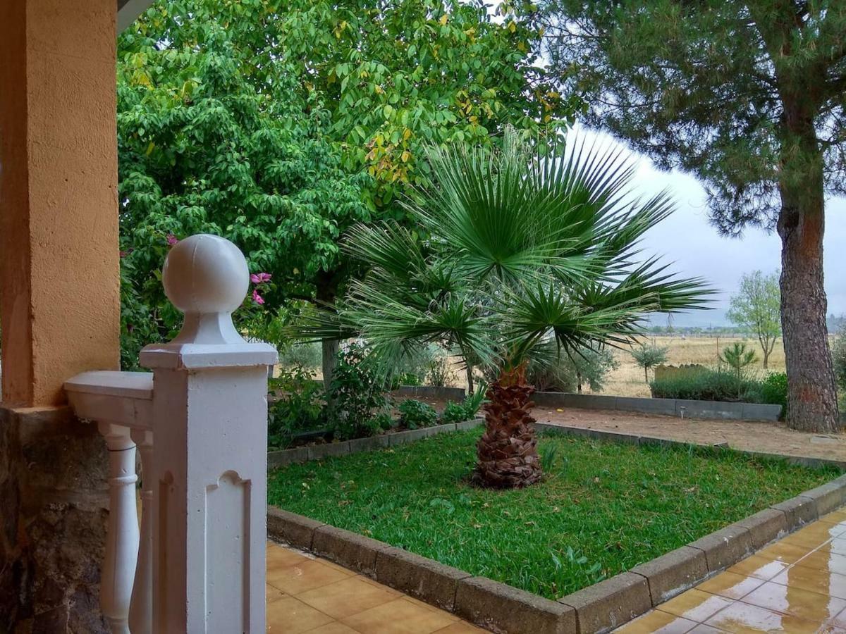Villa El Gallo Los Cortijos 외부 사진